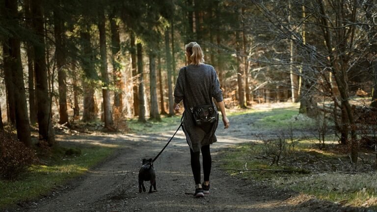 The Ultimate 4-Week Walking Plan for Total Fitness Beginners
