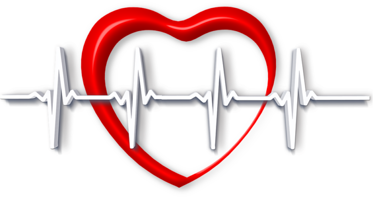 Zone 2 Cardio Explained: What It Is and Why It Works